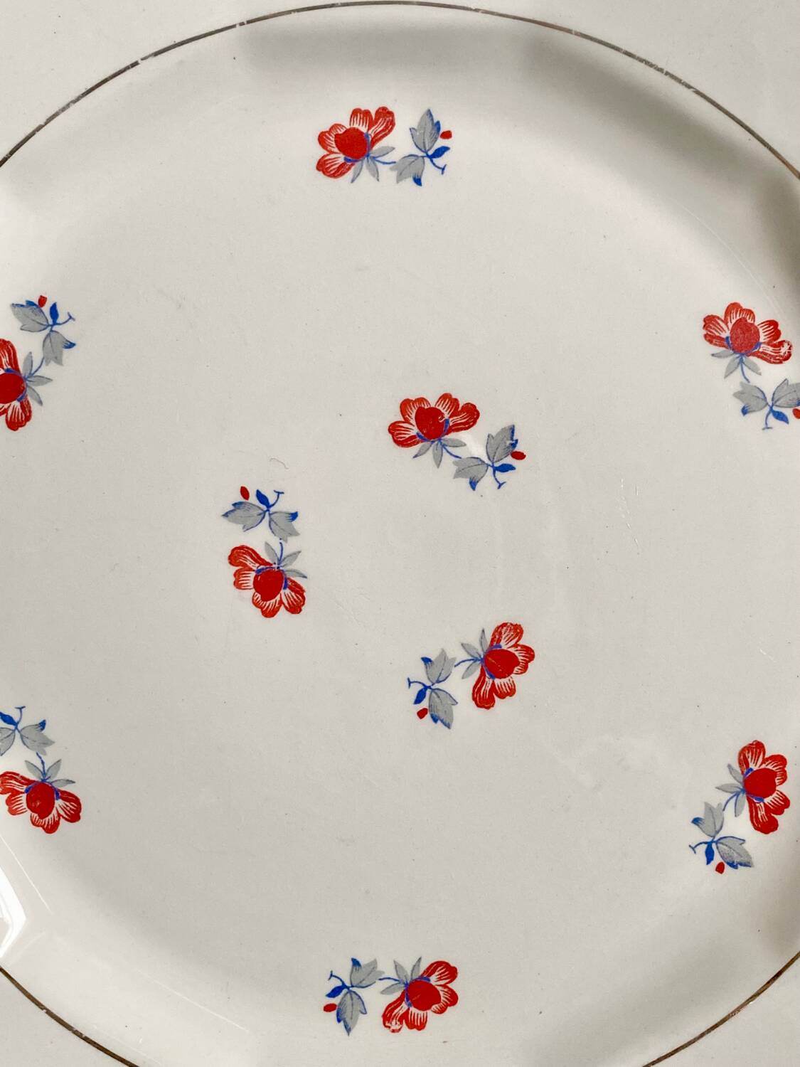 Dinner plates