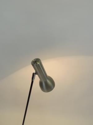 Adjustable reading Vintage lamp, of Hala Zeist