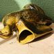 Pichet canard en barbotine, vert kaki