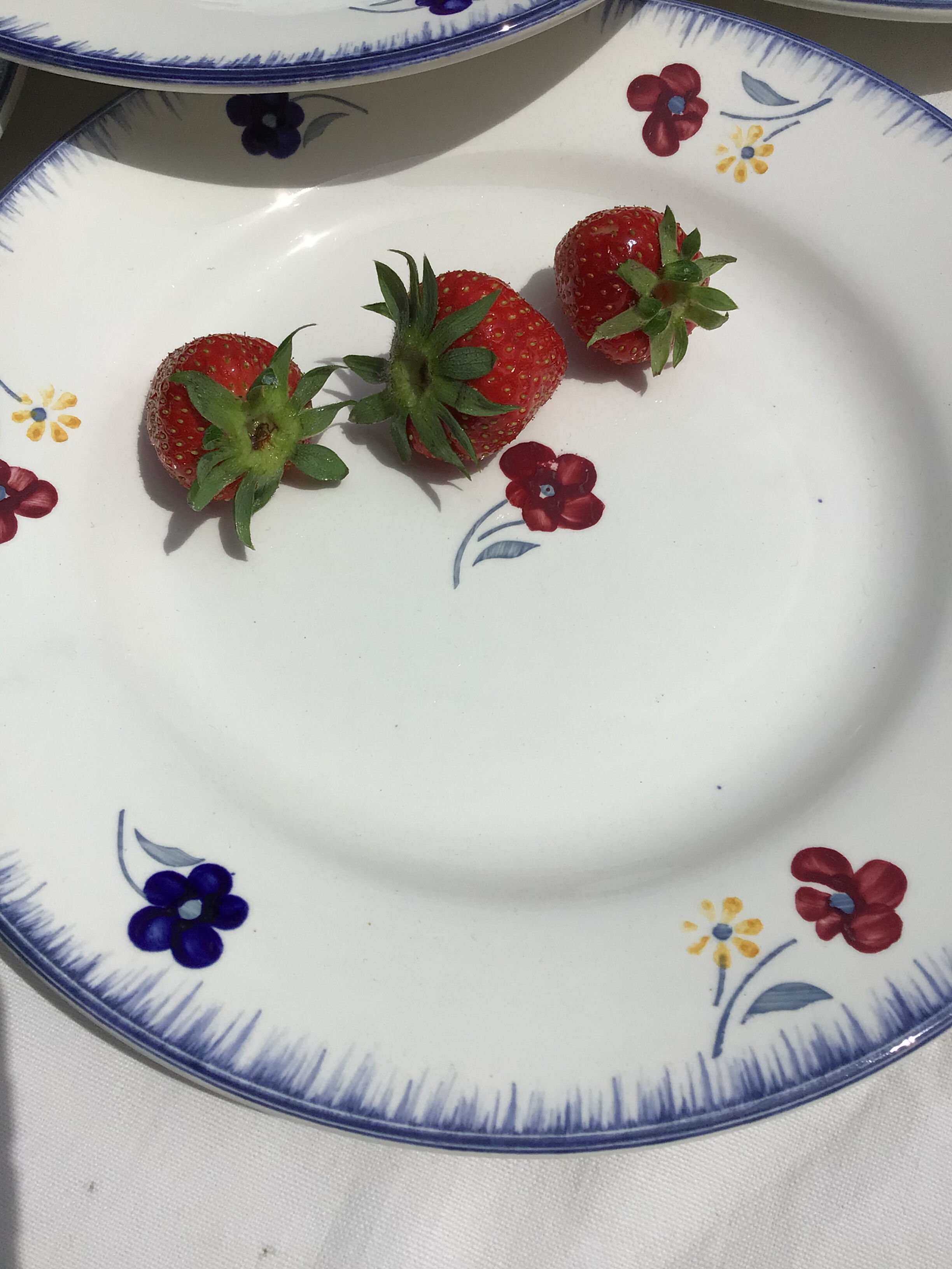 7 blue edge flat plates Mary Lou Digoin