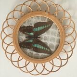 Rattan under glasses with butterflies in bamboo display