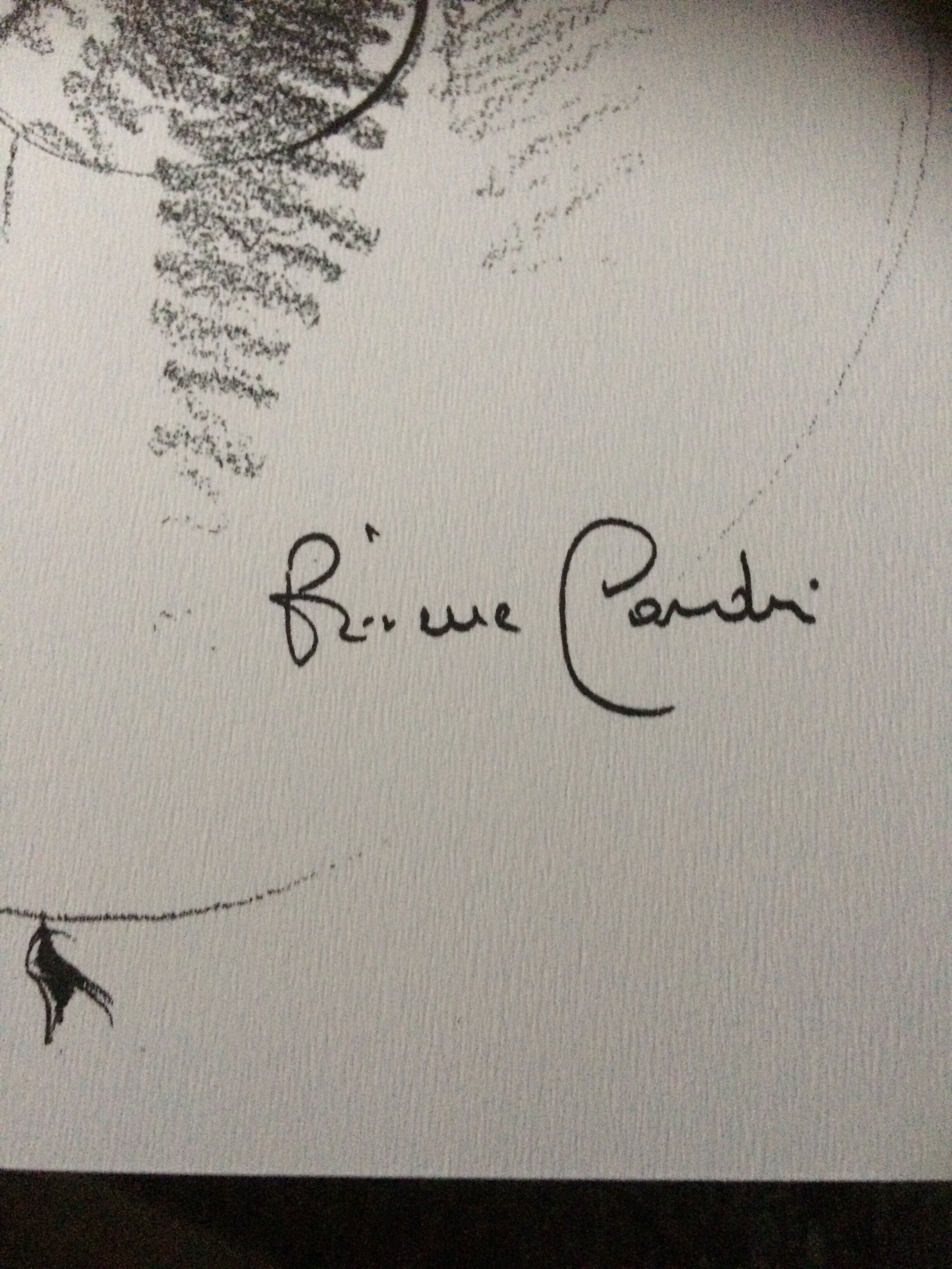 Pierre Cardin: press fashion illustration - late 80s