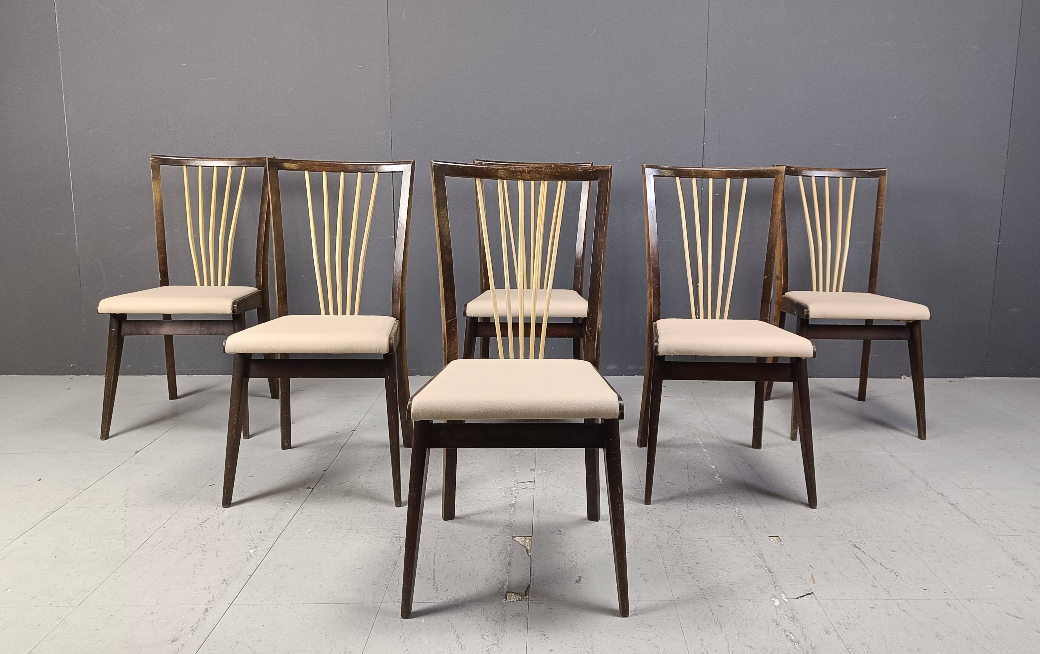 Mid century italian dining chairs, 1950s