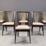 Mid century italian dining chairs, 1950s