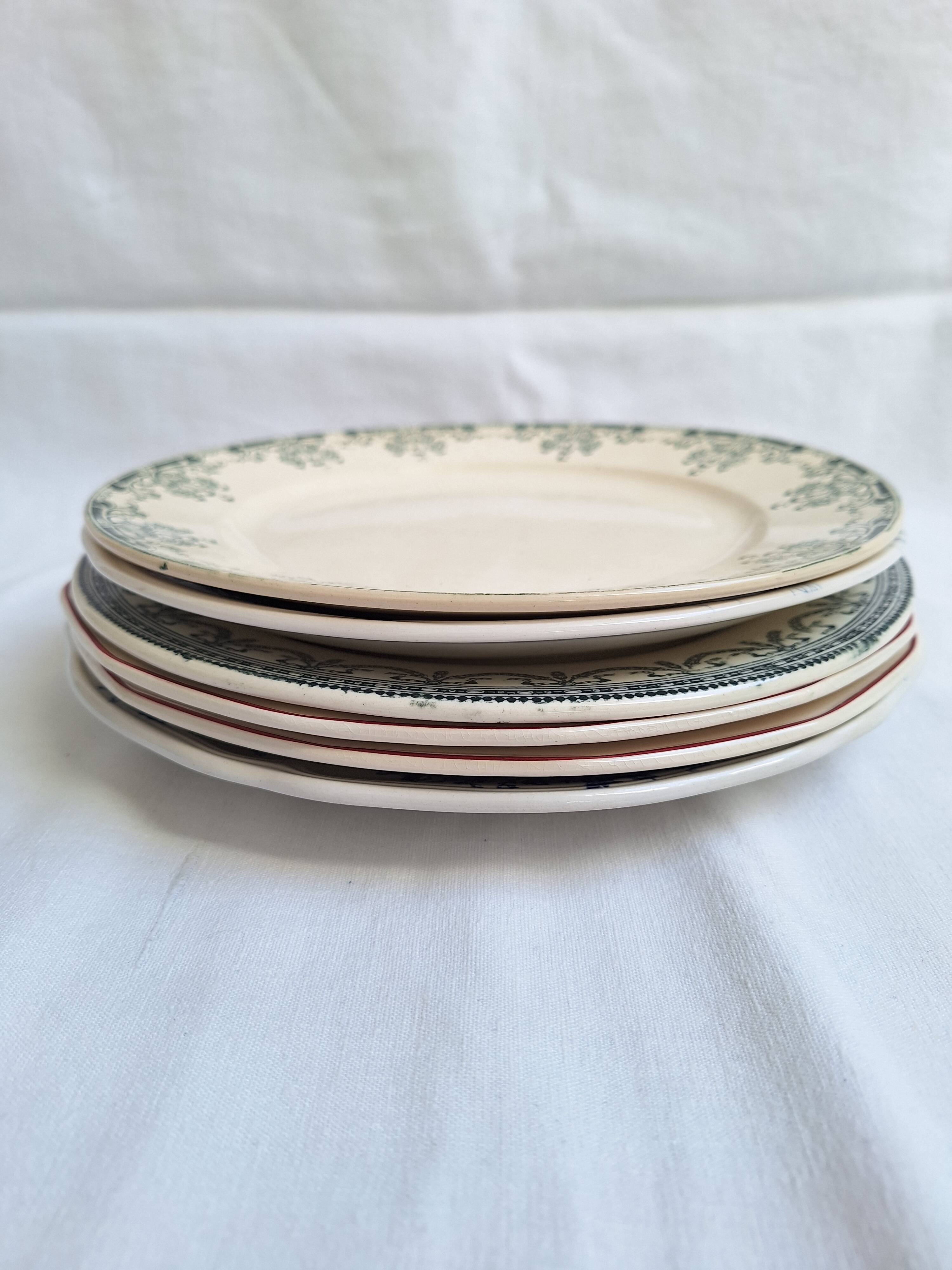 Vintage blue pink green dinner plates
