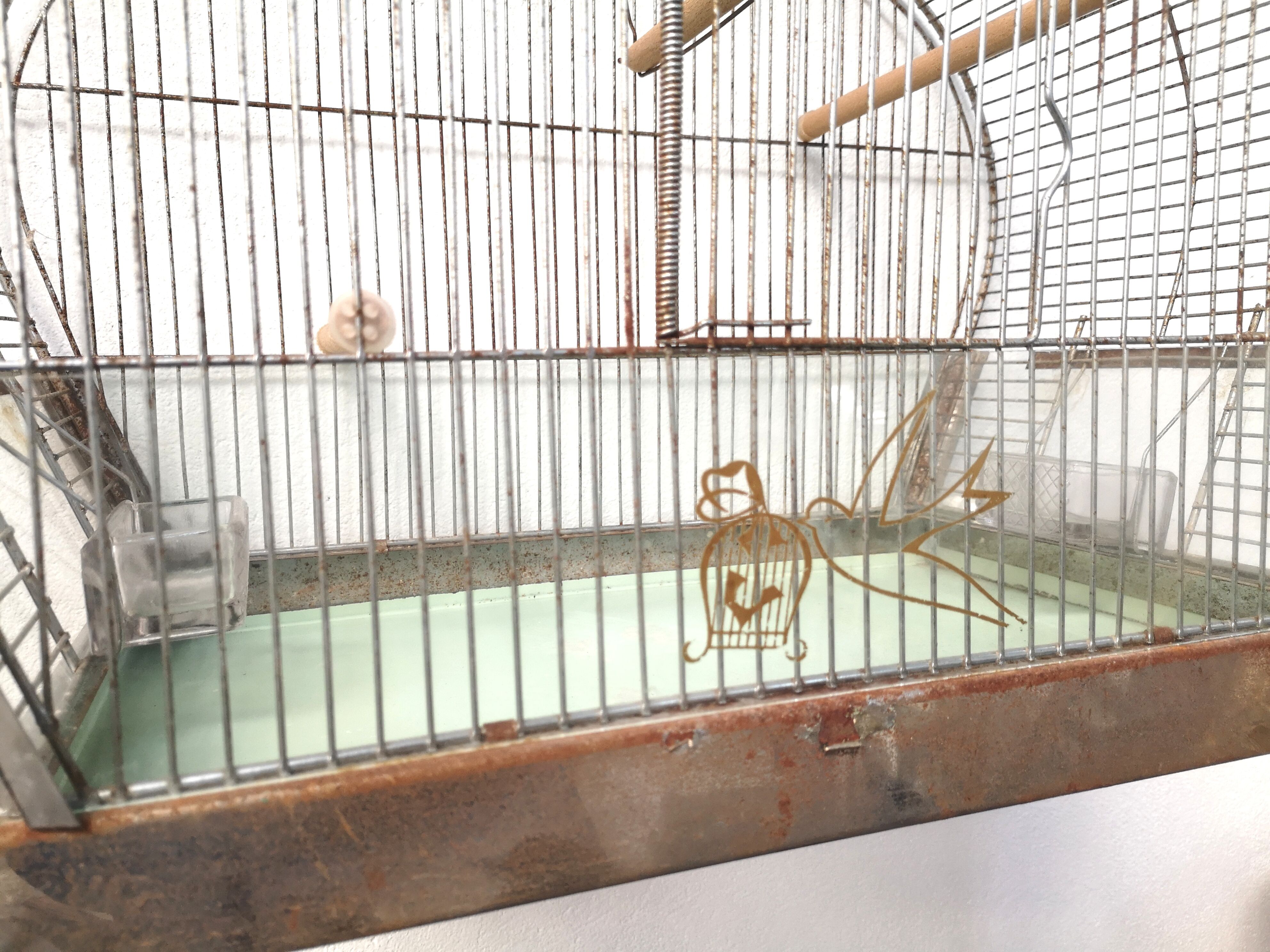 30 year old bird cage