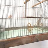 30 year old bird cage