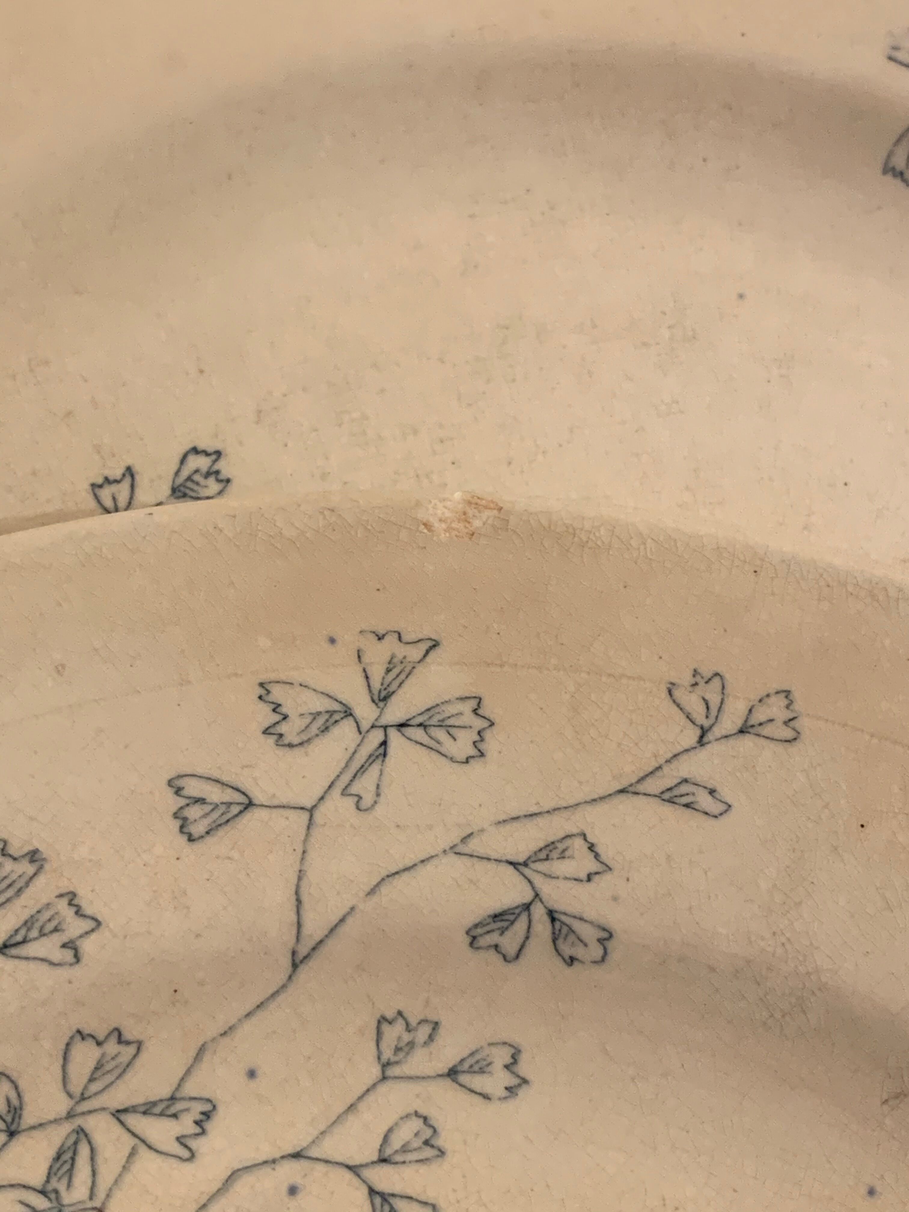 12 old polychrome flat plates Jules Vieillard Bordeaux, 19th century