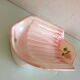 Asparagus service in salins pink dabbling 70/80