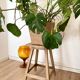 Tabouret ancien