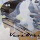 Abstract painting vera braun-lengyel painting modern art tachism