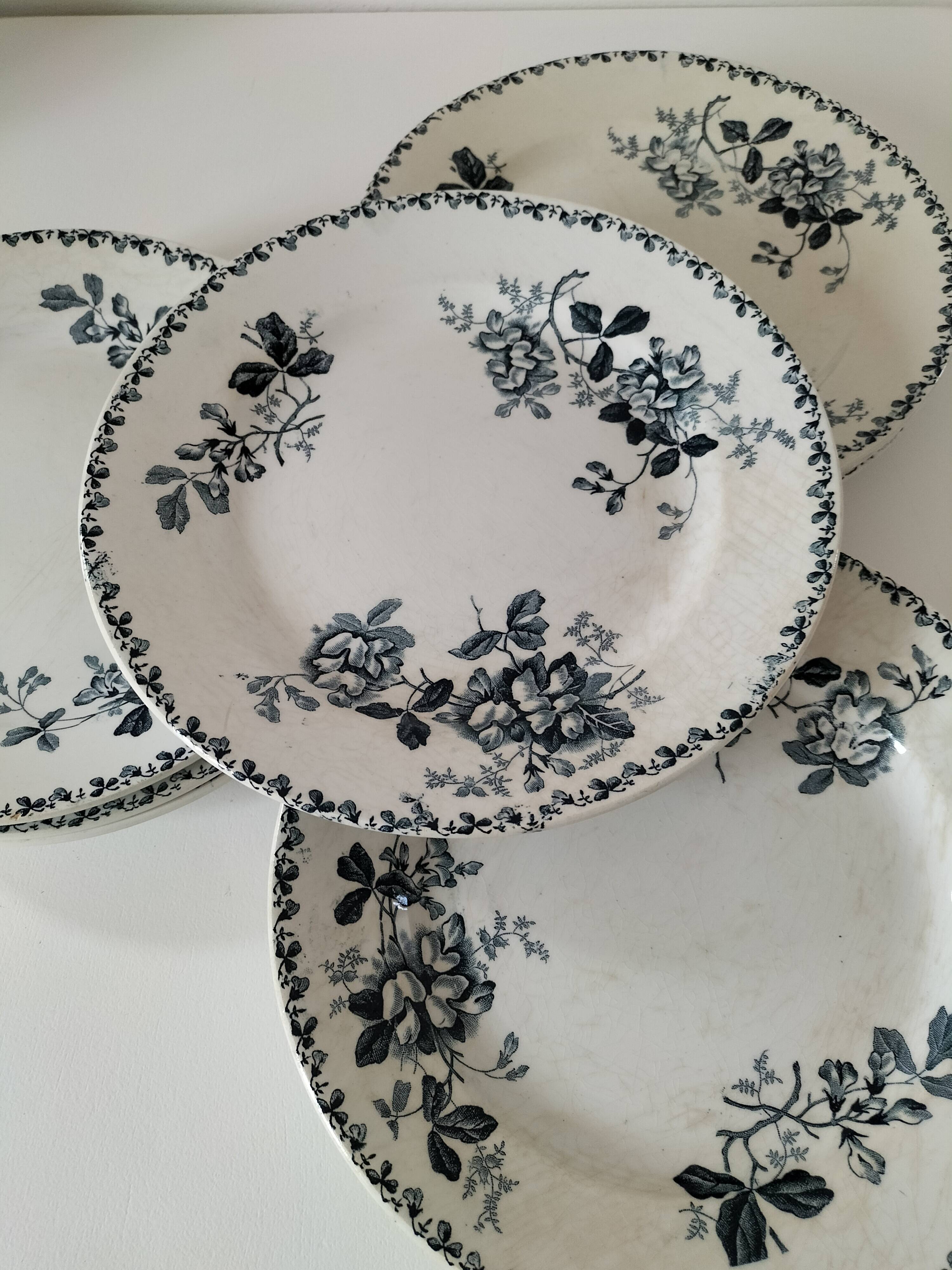 Set of 10 ironstone plates Moulin des Loups Acacia