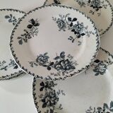 Set of 10 ironstone plates Moulin des Loups Acacia