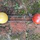 Vintage coat rack
