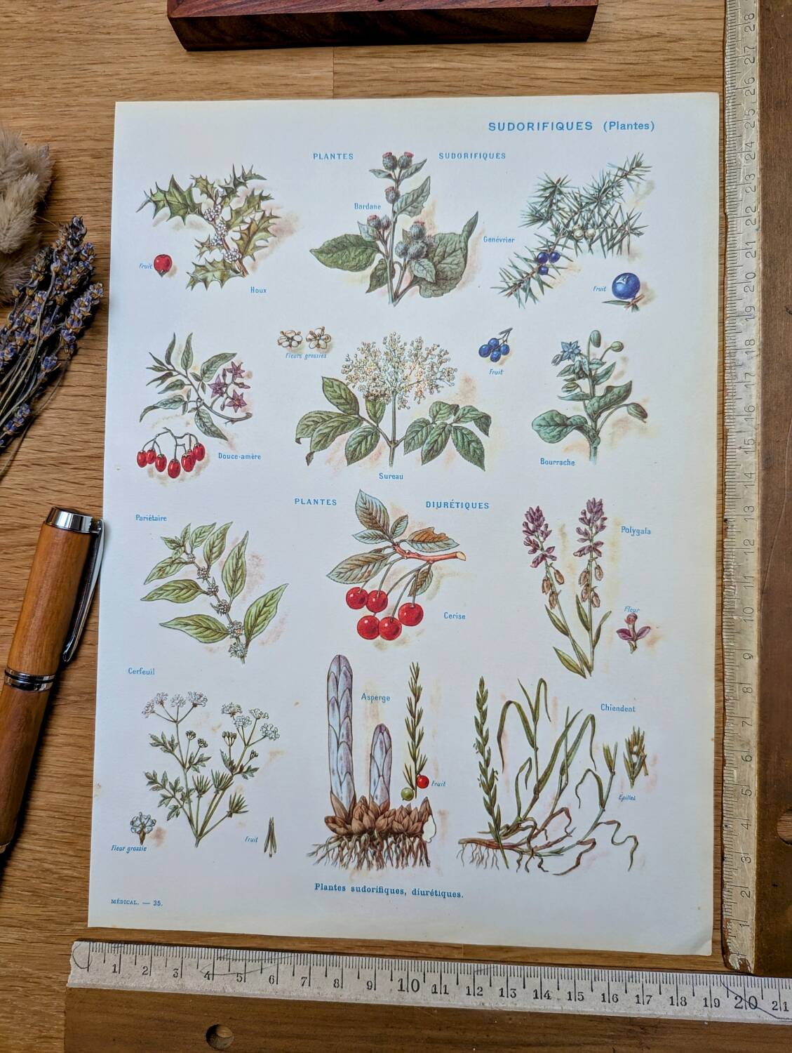 Medical plant board, printed in 1954