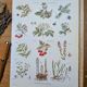Medical plant board, printed in 1954