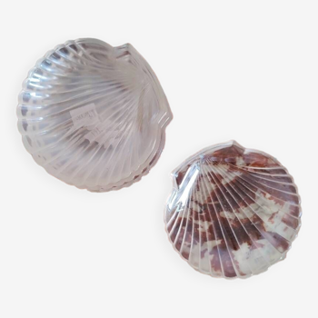 Arcuisine small shell plates