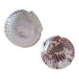 Arcuisine small shell plates