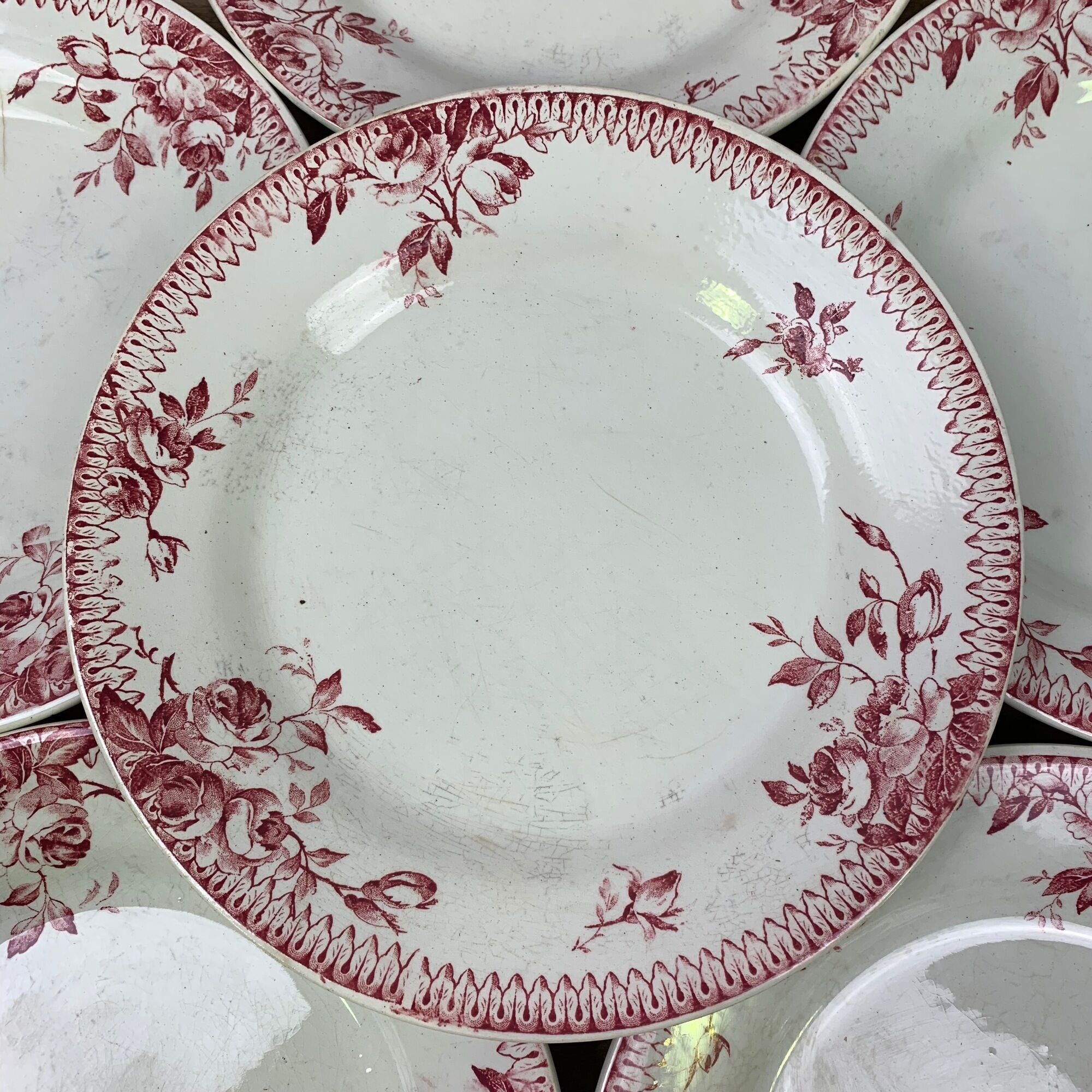 Lot of 6 plates in porcelain of Gien model Pomponnette