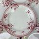 Lot of 6 plates in porcelain of Gien model Pomponnette