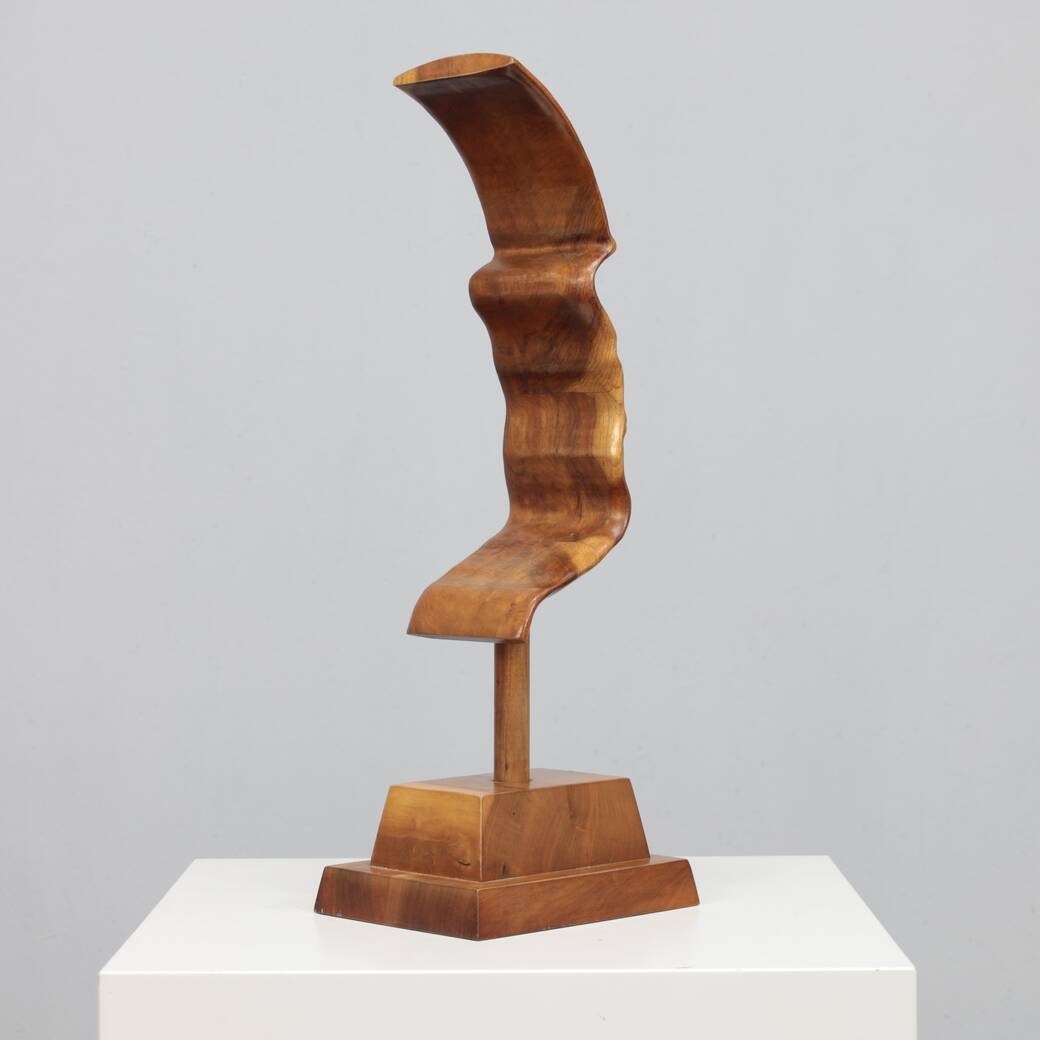 "Profile II" hand-carved 3D sculpture by Lawrence Schneider, 2007