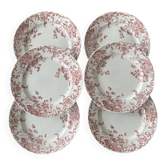 Lot de 6 assiettes à dessert Terre de Fer rose St Amand Hamage modèle