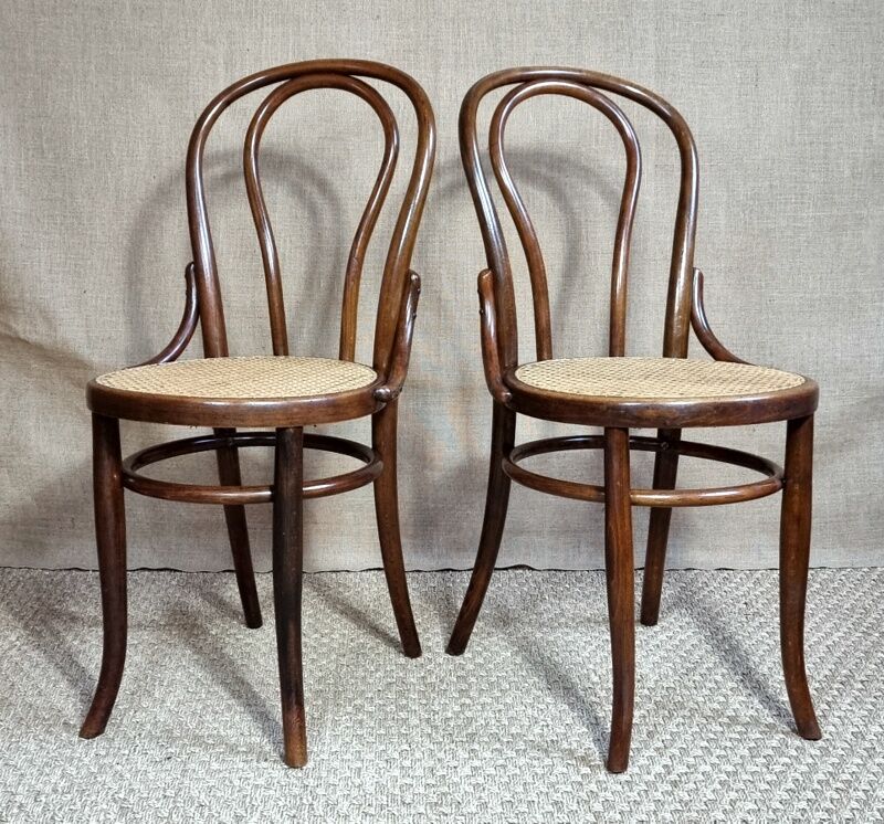 Pair of Fischel chairs n°18 1/2 early twentieth century