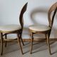 Lot de 2 chaises Baumann