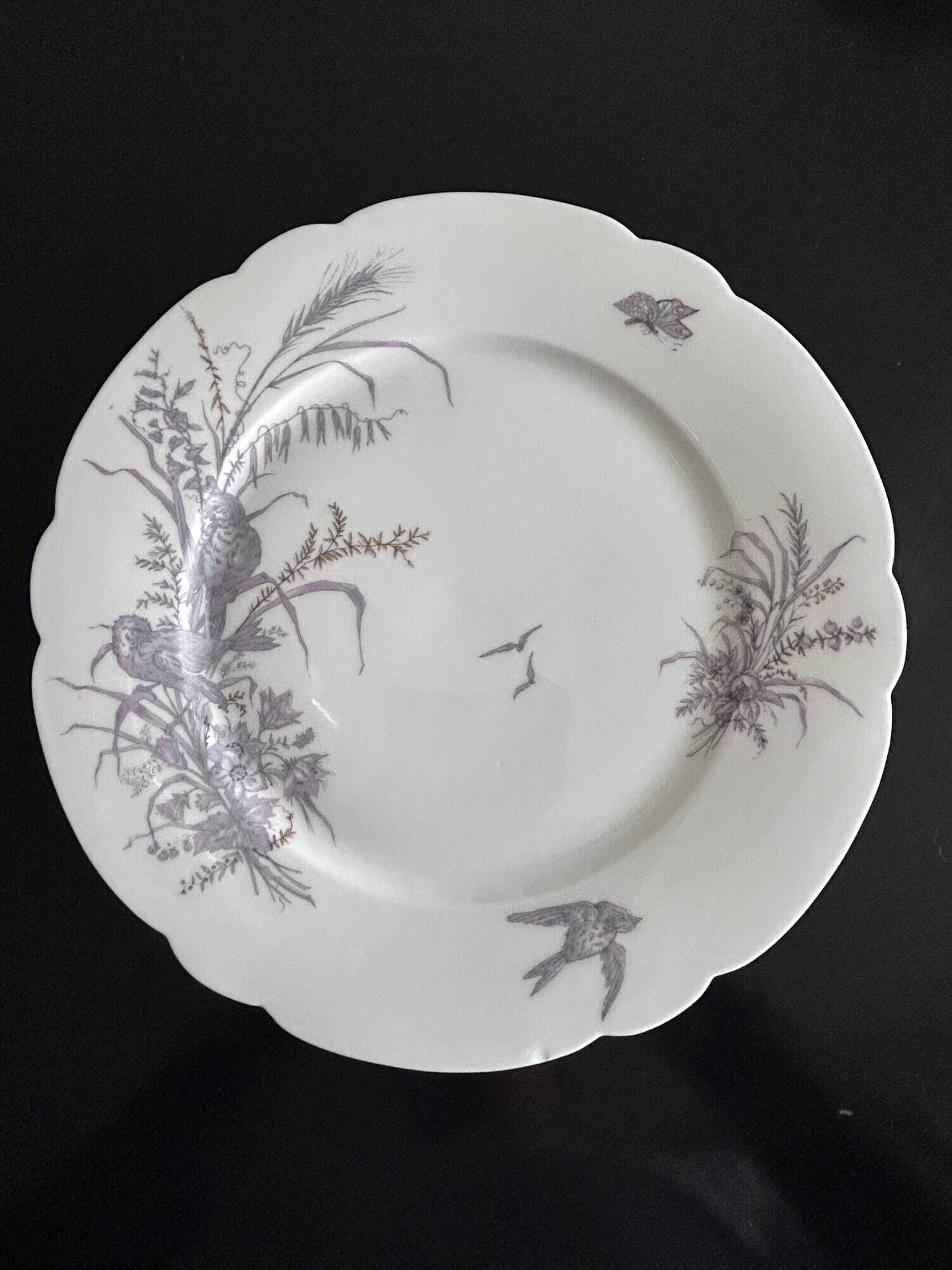 8 porcelain plates and 1 dish CH Pillivuyt & Cie