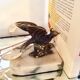 Paire de serre livres oiseaux art deco