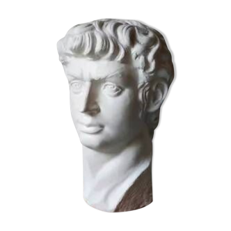 Plaster bust of David