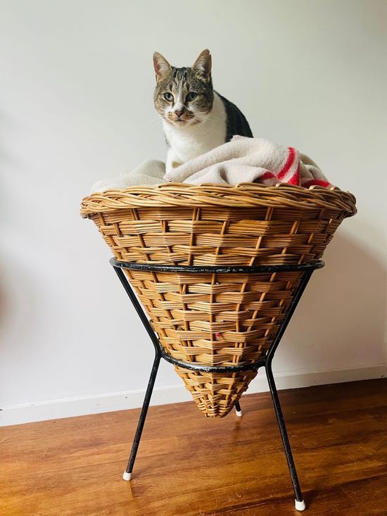 Vintage basket Rohe Noordwolde