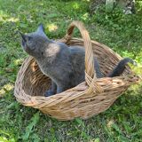 Wicker basket