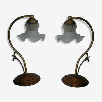 Paire de lampes tulipe