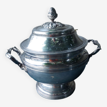 Tureen, vegetable in silver metal Chrysalia