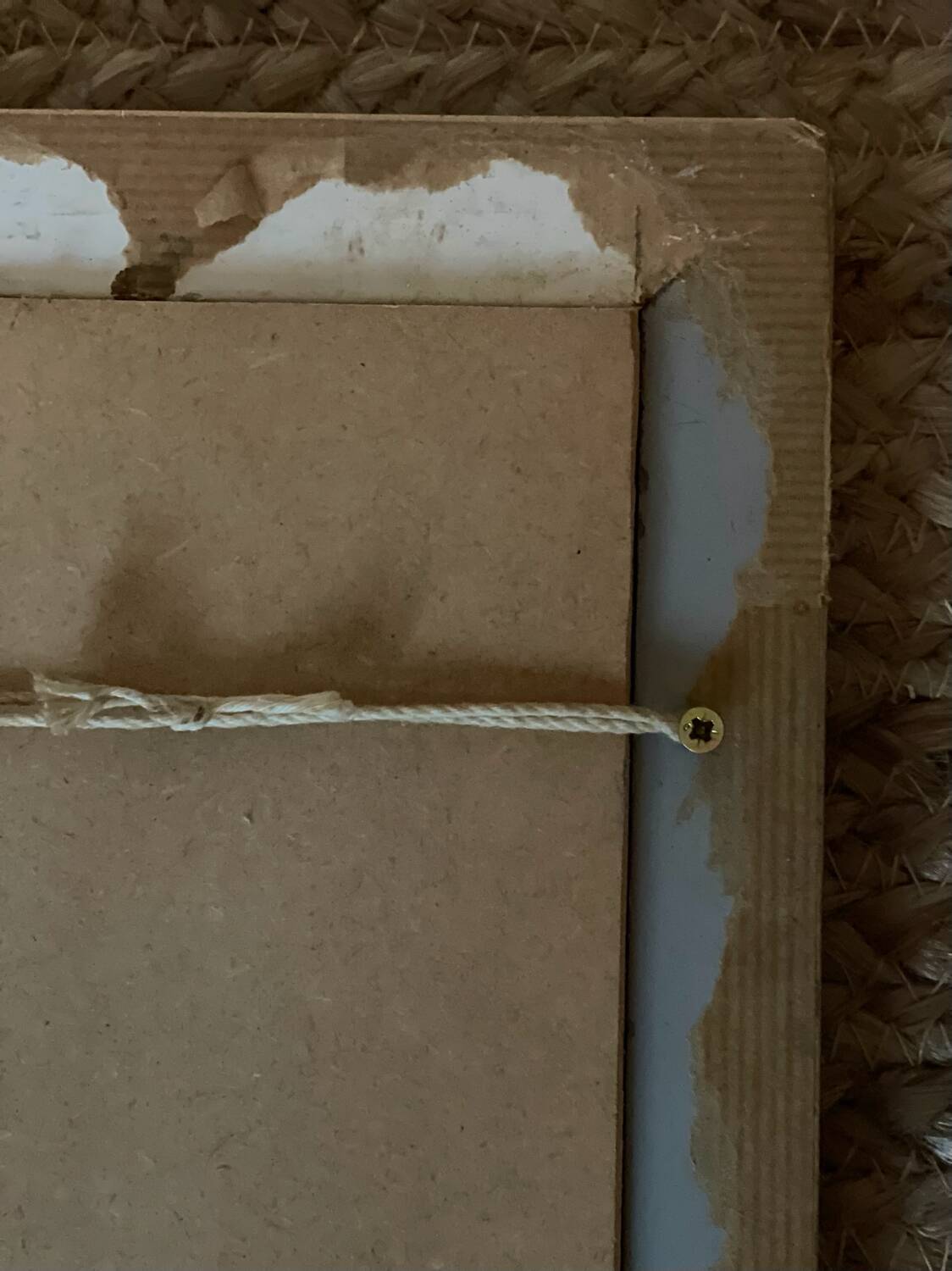 Still life on canvas