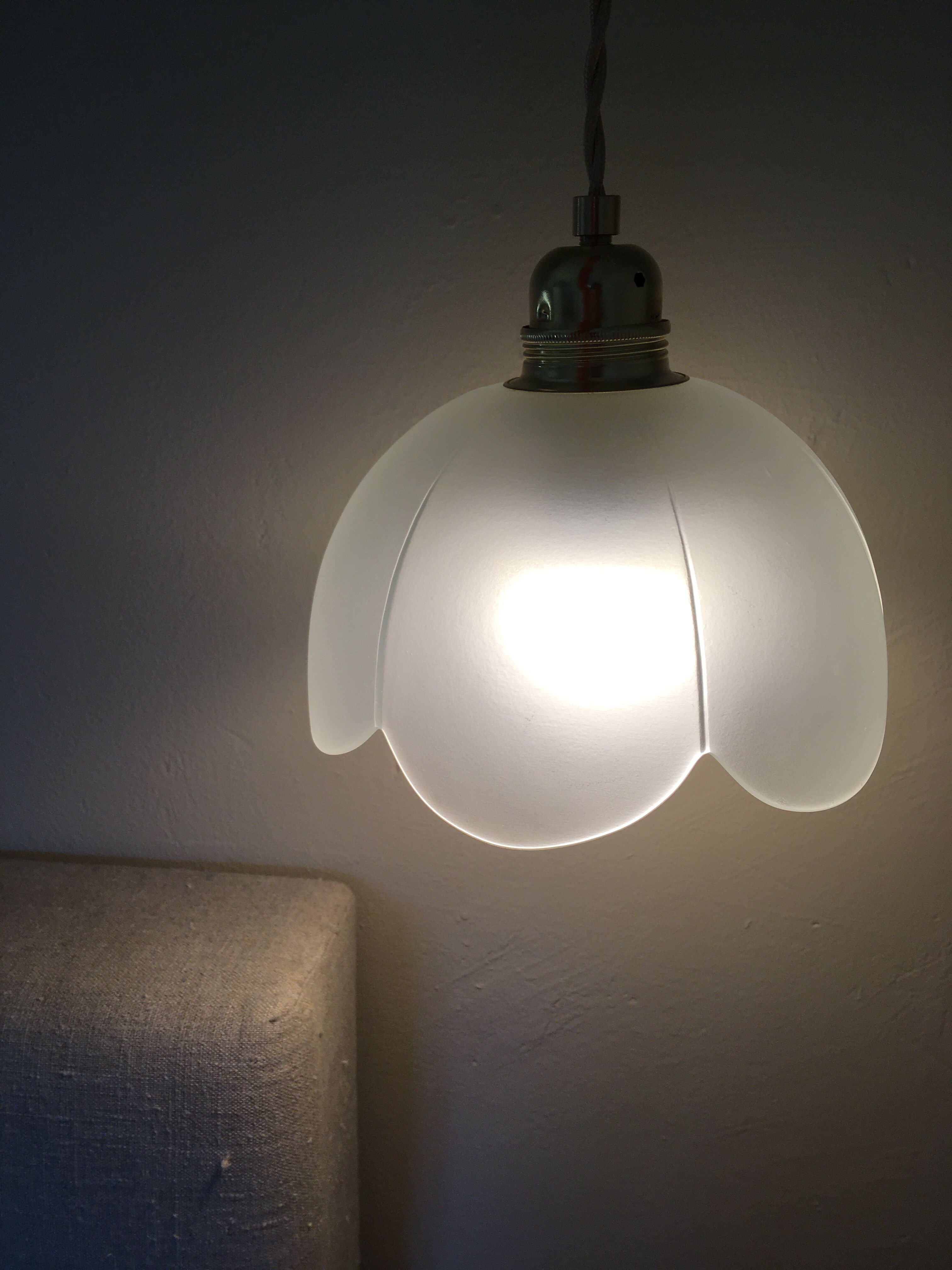 Pair of vintage flower pendants in frosted glass