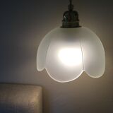 Pair of vintage flower pendants in frosted glass