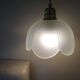 Paire de suspensions vintage fleur en verre dépoli