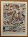 Planche illustrée sur les oiseaux (de basse-cour et volière) - 1930