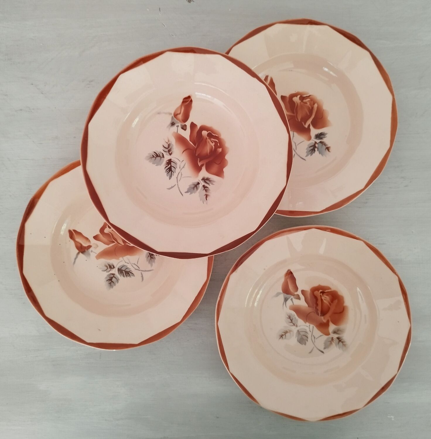 Hollow plates old earthenware Digoin Sarreguemines numbered vintage