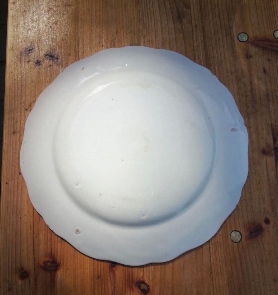 Old flat plate, vintage blue flowered earthenware border