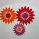 8 Assiettes Creuses Seltmann Weiden West Germany 70's