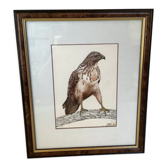 Old bird of prey frame