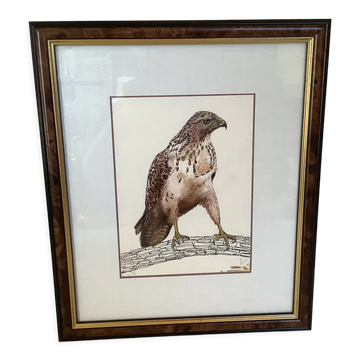 Old bird of prey frame