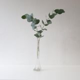 Transparent glass soliflore