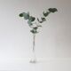 Transparent glass soliflore