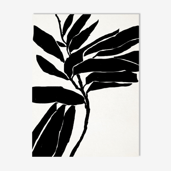 Botanical illustration in black, 50x70