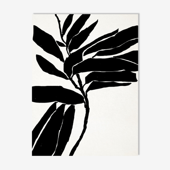 Illustration botanique en noir, 50x70