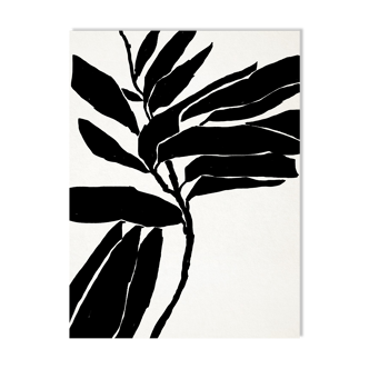 Botanical illustration in black, 50x70